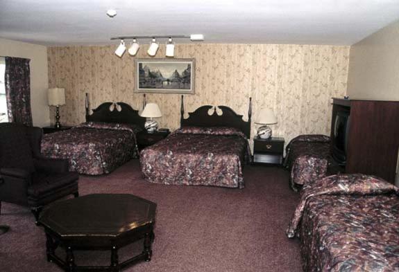 Ivy Rose Motor Inn ウィンザー エクステリア 写真