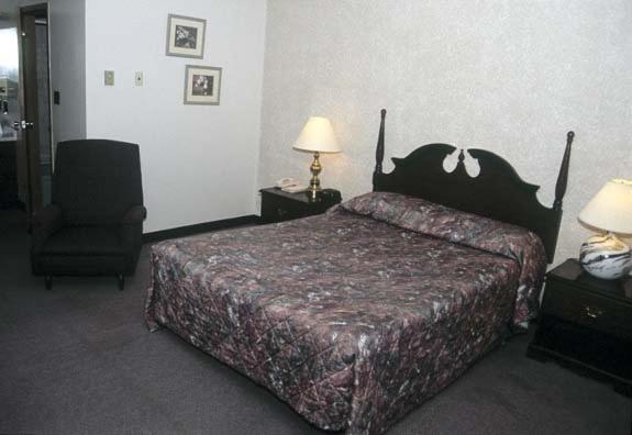 Ivy Rose Motor Inn ウィンザー エクステリア 写真