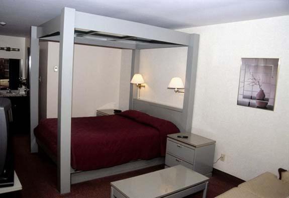 Ivy Rose Motor Inn ウィンザー エクステリア 写真