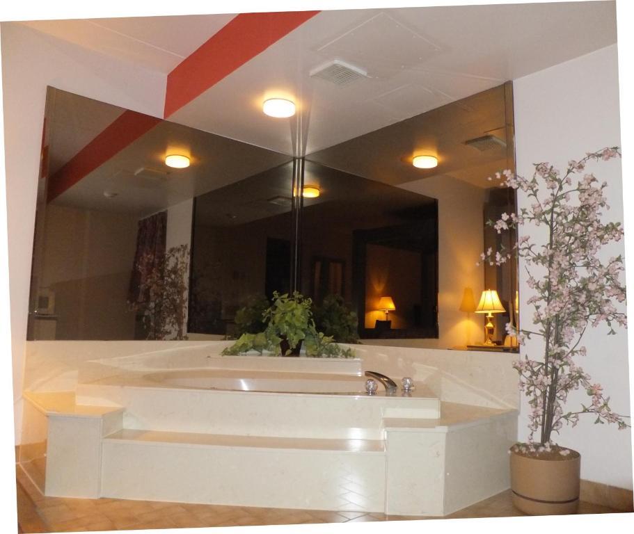 Ivy Rose Motor Inn ウィンザー エクステリア 写真