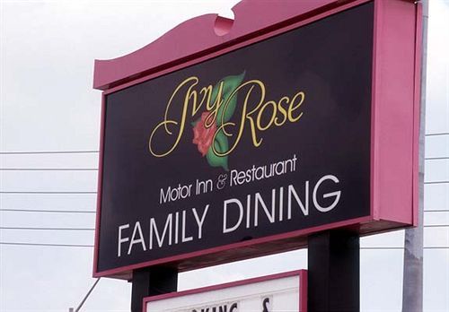 Ivy Rose Motor Inn ウィンザー エクステリア 写真